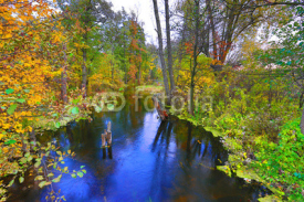 Naklejki river in autumn forest