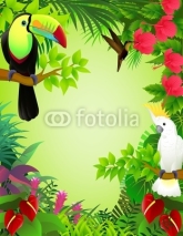 Fototapety Tropical birds