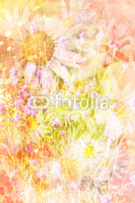 Pretty daisies artistic background