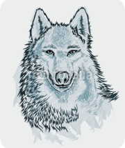 Naklejki wolf
