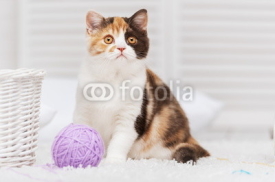 Naklejki Cat with a ball of yarn