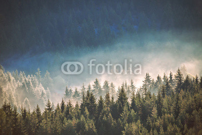 View of misty fog mountains in autumn