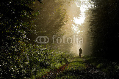 Person im Wald im Morgenlicht