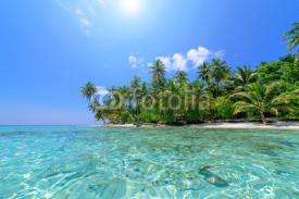 Naklejki Strand mit Palmen