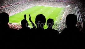 Fototapety soccer fans stadium