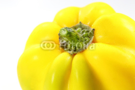Fototapety Yellow bell pepper
