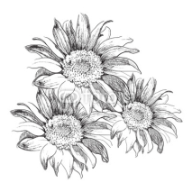Naklejki Sunflowers