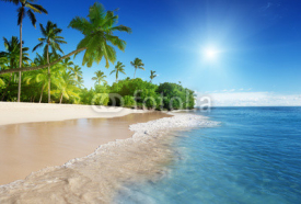 Naklejki caribbean sea and palms