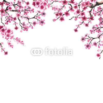 hand-drawn branch of sakura