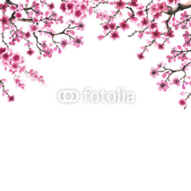 Fototapety hand-drawn branch of sakura
