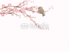 Naklejki Sakura Cherry Blossom with sparrow