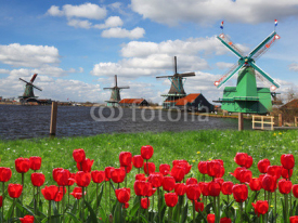Naklejki Windmills in Netherlands, Zaanse Schans