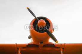 Fototapety Adventure in the sky, Old airplane, North American T-6G Texan