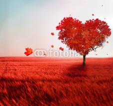 Fototapety Tree of love