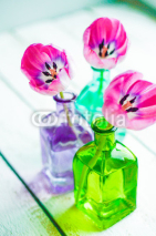 Fototapety Pink tulips in colorful vases on white background