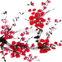Fototapety plum blossom
