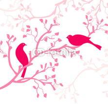 Naklejki oiseaux roses sur branche rose