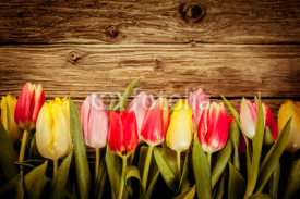 Fototapety Beautiful fresh tulip border on rustic wood