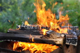 Hot Charcoal Barbecue Grill With Bright Flame On The Nature Back