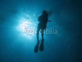 Fototapety Diver 102