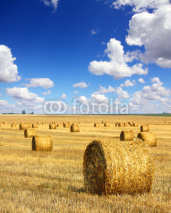 Fototapety harvested bales of straw in field