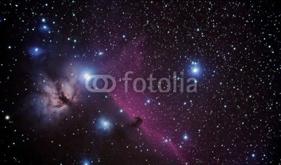 horsehead nebulae