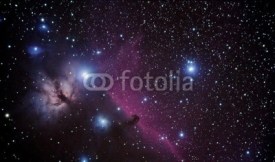 Fototapety horsehead nebulae