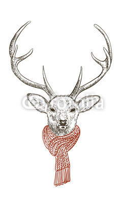Deer in scarf