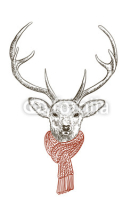 Fototapety Deer in scarf
