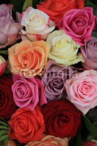 Fototapety Mixed bridal roses