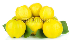 Naklejki Sweet quinces isolated on white