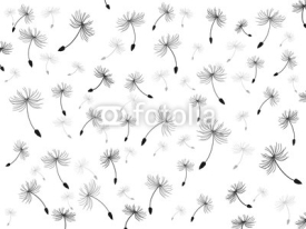 Fototapety seamless dandelion background