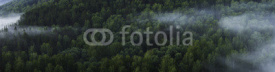 Fototapety Mountain forest landscape. Pine trees in the fog in the early morning. Panoramic picture