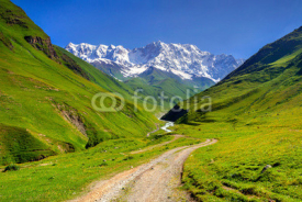 Fototapety The main Caucasian ridge, Shkhara mountain.