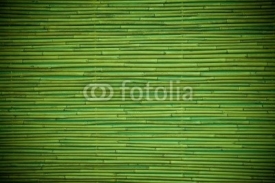 Fototapety bamboo