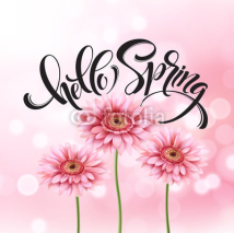 Gerbera Flower Background and Hello Spring Lettering. Vector Illustration