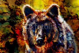 head of mighty brown bear, oil painting on canvas and graphic collage. Eye contact.