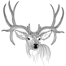 Naklejki Deer head