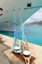 Naklejki Cruise Shipped Moored at Port