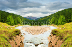Fototapety Mountain river surrounded by pine forest.