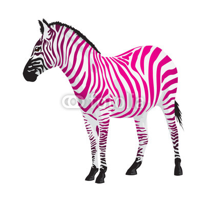 Zebra with strips of pink color.