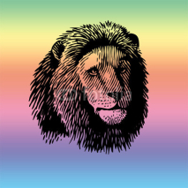 Obrazy i plakaty Lion arc-en-ciel