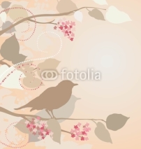 Fototapety Nightingales in lilac branches.
