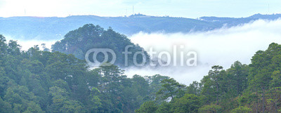 Misty Morning on the Plateau of Da Lat, Vietnam. It has a mild climate suitable for weekend stays for visitors