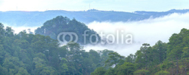 Fototapety Misty Morning on the Plateau of Da Lat, Vietnam. It has a mild climate suitable for weekend stays for visitors