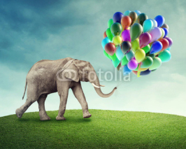 Naklejki Elephant with balloons