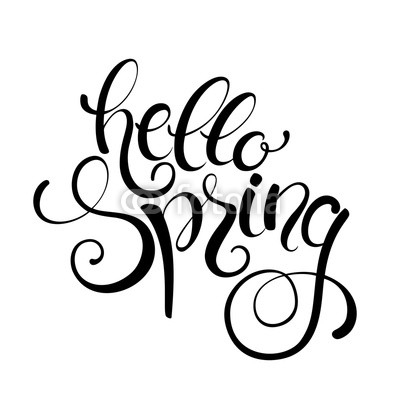 Hello Spring handwritten calligraphy lettering  isolated on white background. Vector illustration.