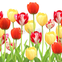 Naklejki Seamless border with tulips
