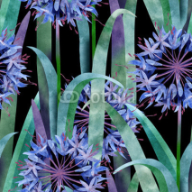Fototapety Watercolor Agapanthus Flower Seamless Pattern on Black Background