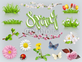 Spring set. Grass and flowers. 3d vector icon
